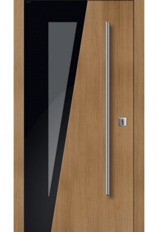 Drzwi zewnętrzne Parmax Top Glass 06