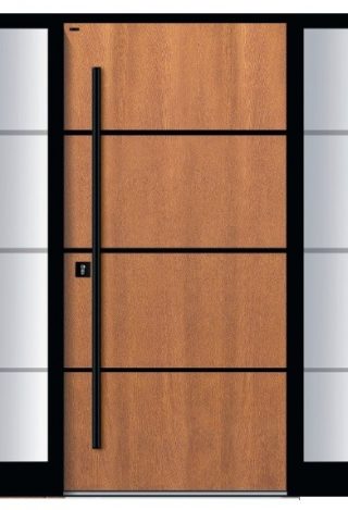 Drzwi zewnętrzne dębowe Parmax Projekt Ral Design Model Basic 16G